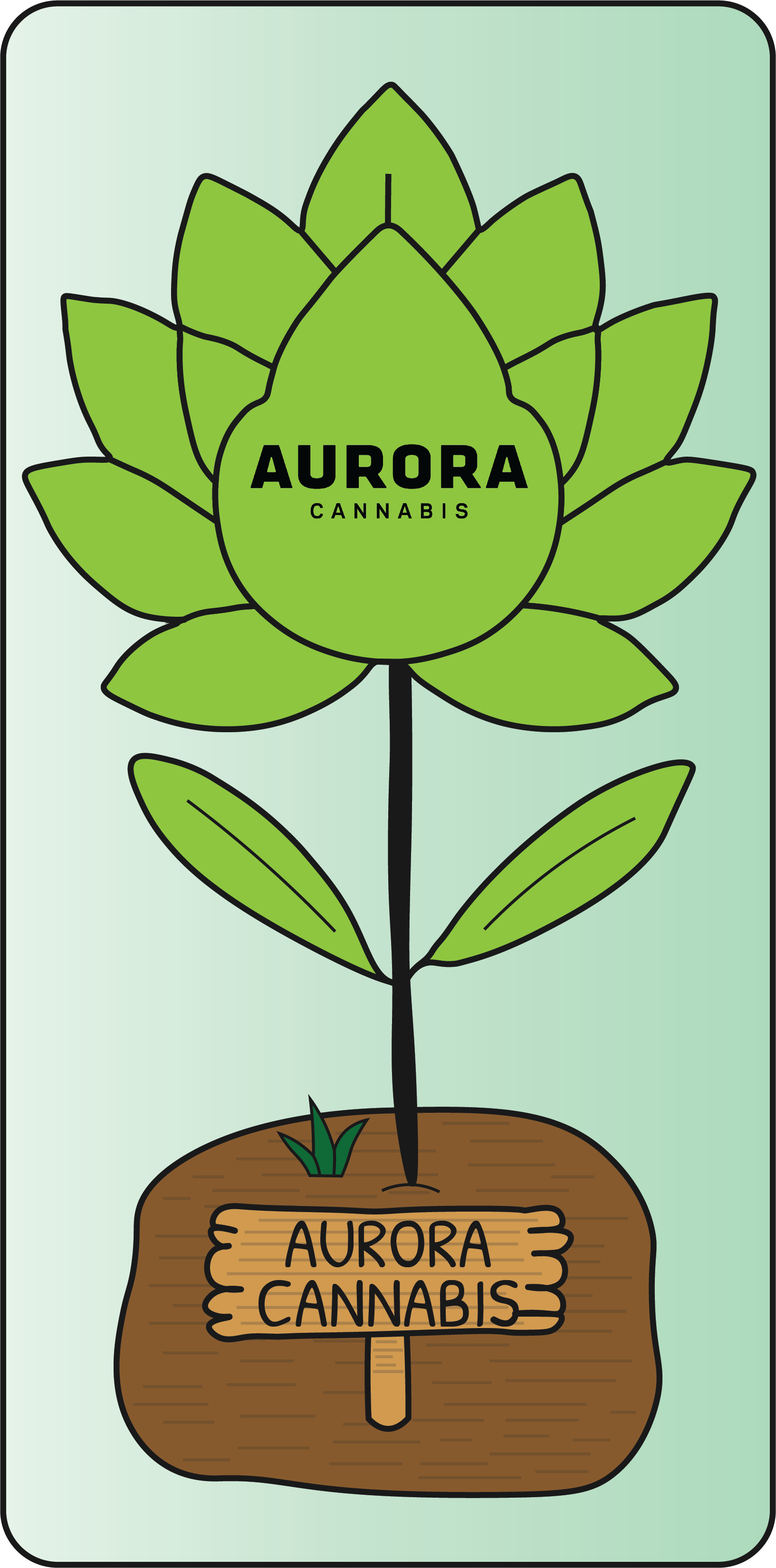 Aurora Cannabis flower project preview